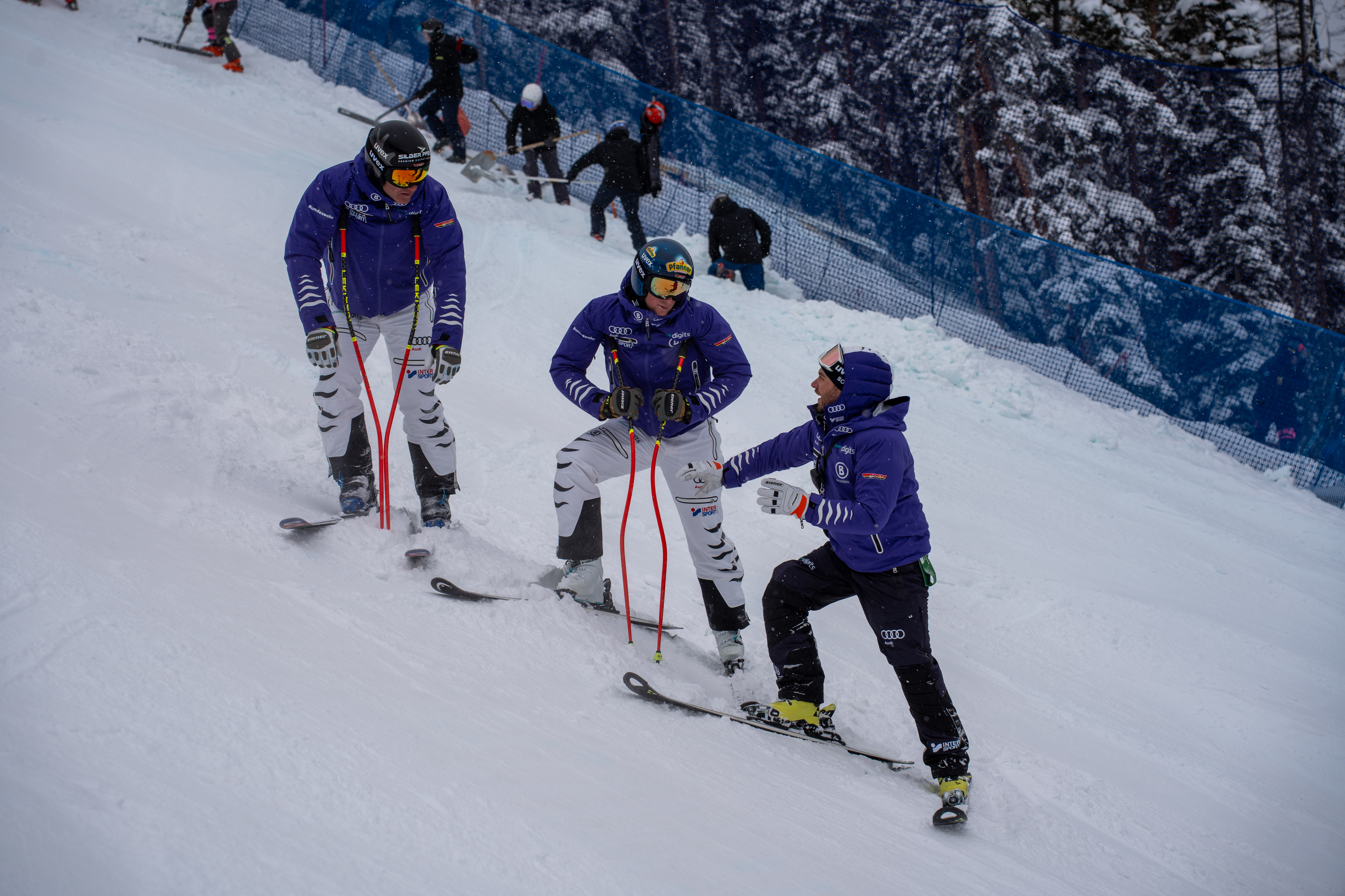 Course Image DSV-Trainertag Ski Alpin/ Ski Cross/ Freeski