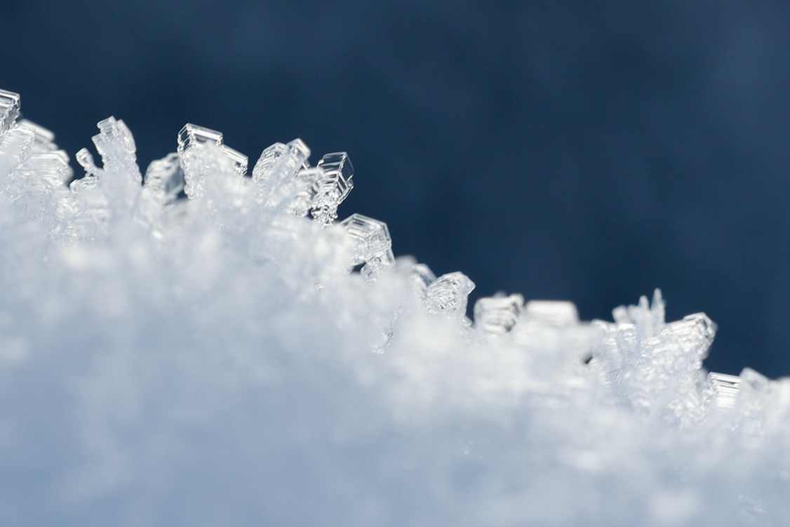 Course Image SCHNEEvonMORGEN - Nachhaltigkeit & Umwelt