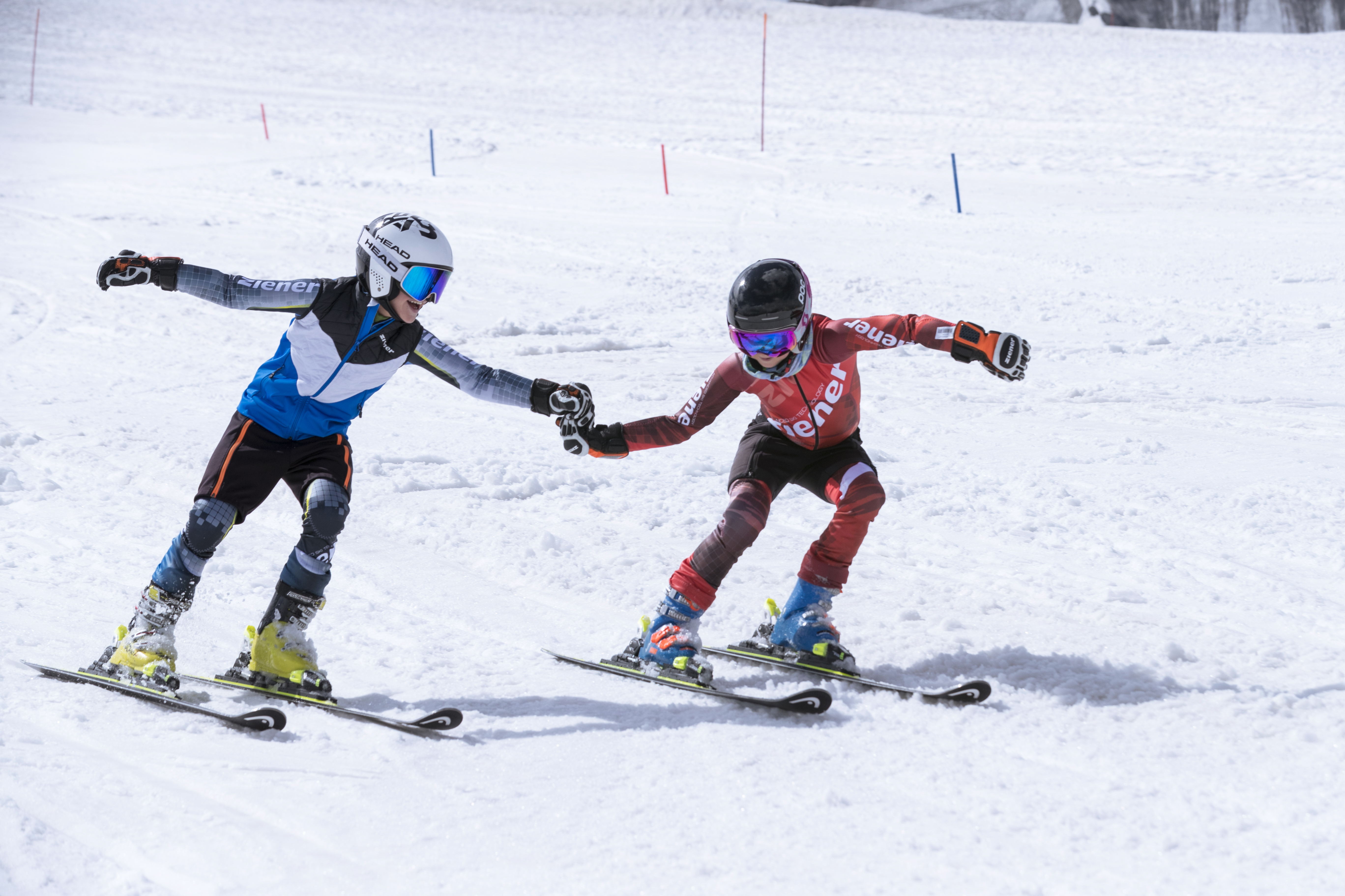 Course Image Fortbildungen Ski Alpin 2025