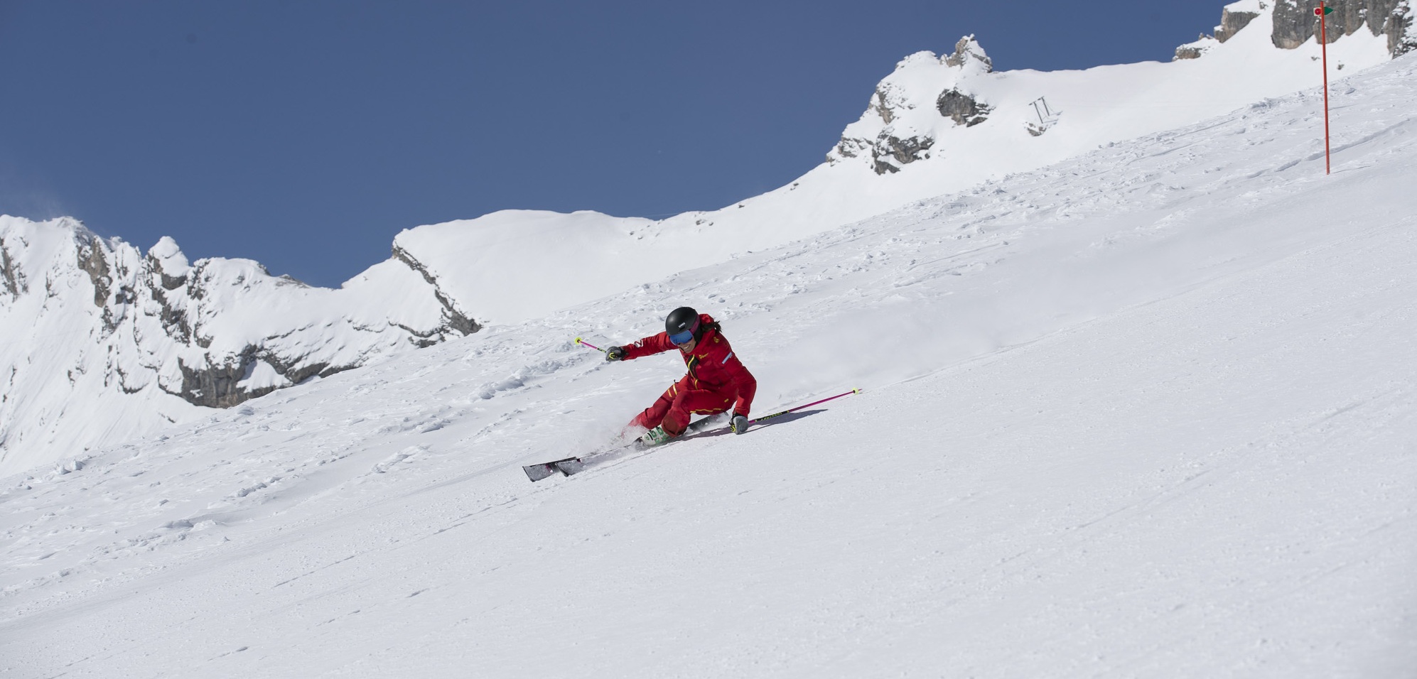 Course Image DSV-Lehrplan Ski Alpin (Preview)