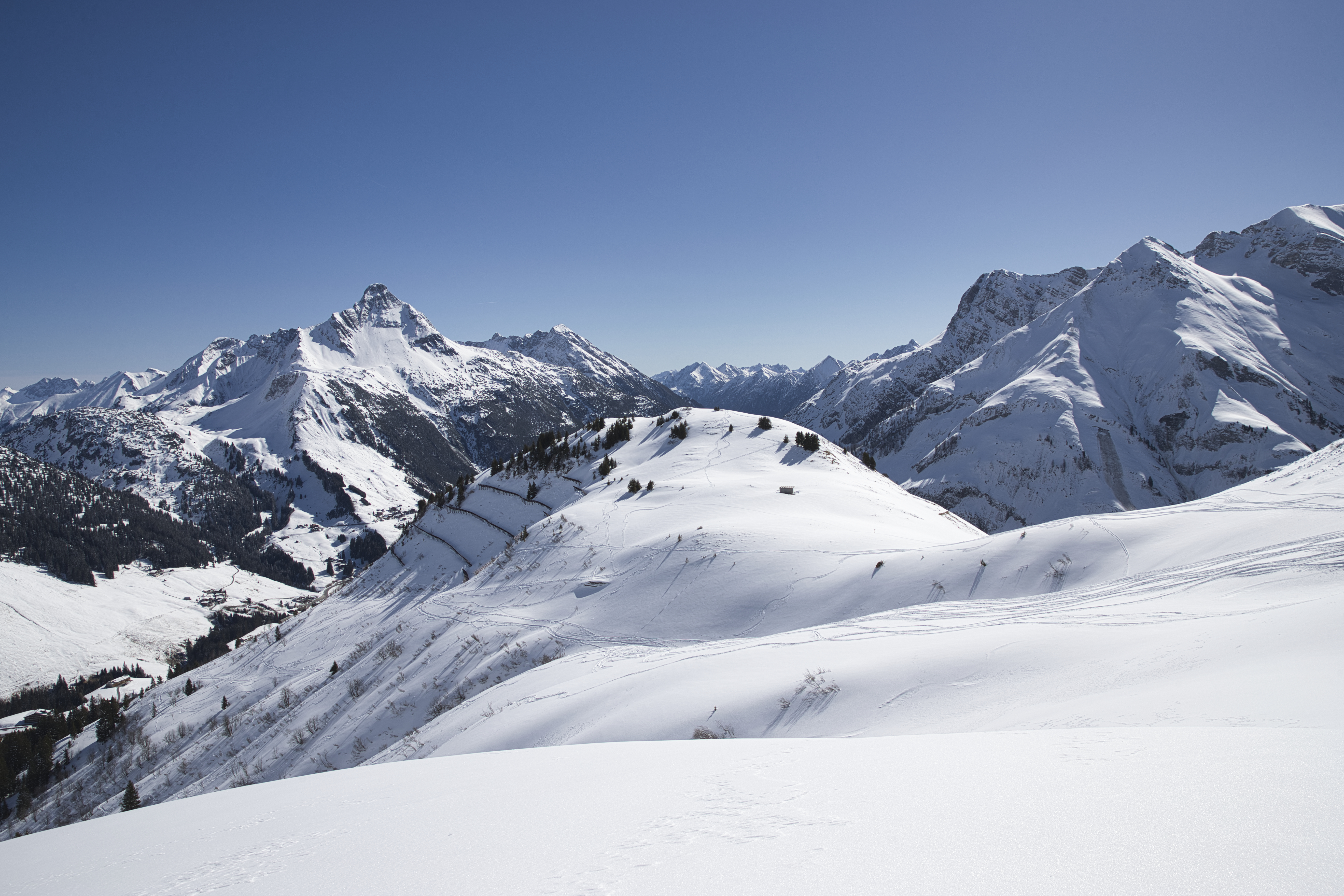 Course Image BLT | Online-Theoriebegleitung disziplinübergreifend DSV-Skilehrer/ DSV-Snowboardlehrer/ DSV-Skitourenführer